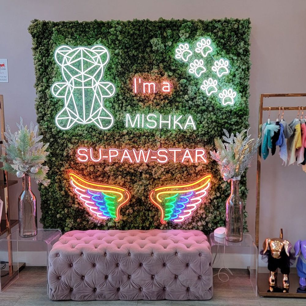 Mishka - Pet Stores Near Me - San Francisco, California Mishka - Pet Stores Near Me - San Francisco, California