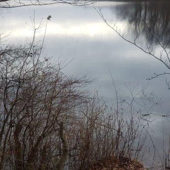 Cranberry Lake Preserve - Parks Near Me - North Castle, New York