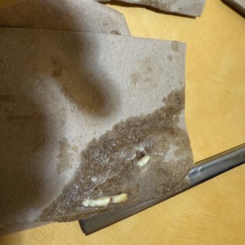 Panera Bread - Soiled napkins on plate from kitchen. - Sandwiches Near Me - Muskegon, Michigan