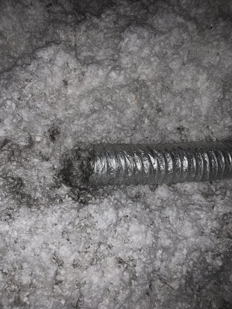 PENOBSCOT CLEANING SERVICES Updated September 2024 31 Photos 565