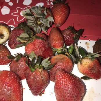 Edible Arrangements - Flowers & Gifts Near Me - Stafford, Texas