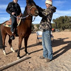 Forever West Performance Horses