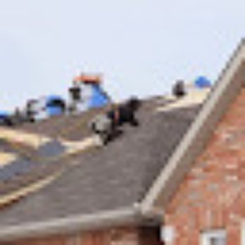 Bradshaw Roofing Contractors - Roofing Near Me - Dartmouth, Nova Scotia Bradshaw Roofing Contractors - Roofing Near Me - Dartmouth, Nova Scotia