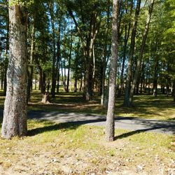 Bohnert Park - Paved hiking trail