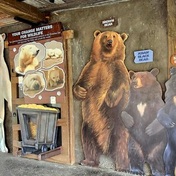 Columbus Zoo and Aquarium - Bears! - Zoos Near Me - Powell, Ohio