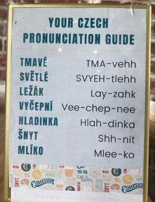 Cohesion Brewing by null