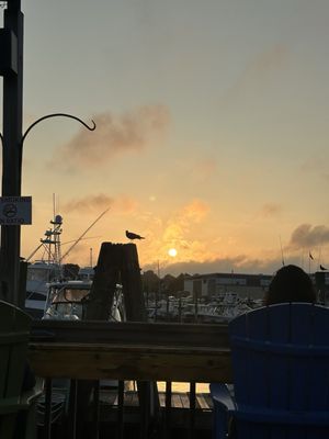 Captain Scott's Lobster Dock by null