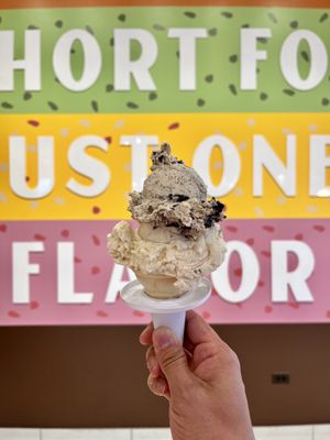 The Original Rainbow Cone by null