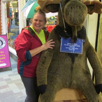 Cool As a Moose - Scruffy tourist with scruffy moose - Flowers & Gifts Near Me - Halifax, Nova Scotia