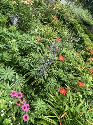 Green Animals Topiary Garden by null