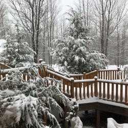 Black River Crossing Bed & Breakfast
