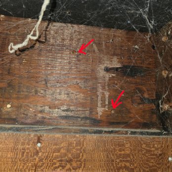 Pacific Coast Termite - Storage area only one treated via drilling tiny holes & injecting oil into the area! Useless - Pest Control Near Me - Fremont, California Pacific Coast Termite - Storage area only one treated via drilling tiny holes & injecting oil into the area! Useless - Pest Control Near Me - Fremont, California