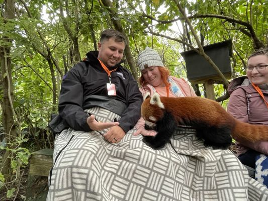 Wellington Zoo by null