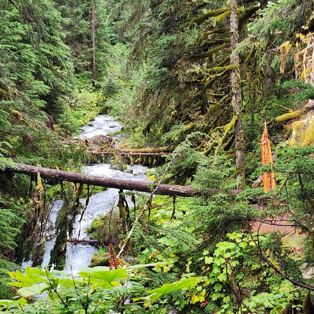 Virgin Creek Falls - Hiking Near Me - Anchorage, Alaska Virgin Creek Falls - Hiking Near Me - Anchorage, Alaska