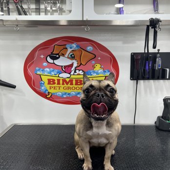 Bimbo’s Pet Grooming - Pet Groomers Near Me Bimbo’s Pet Grooming - Pet Groomers Near Me