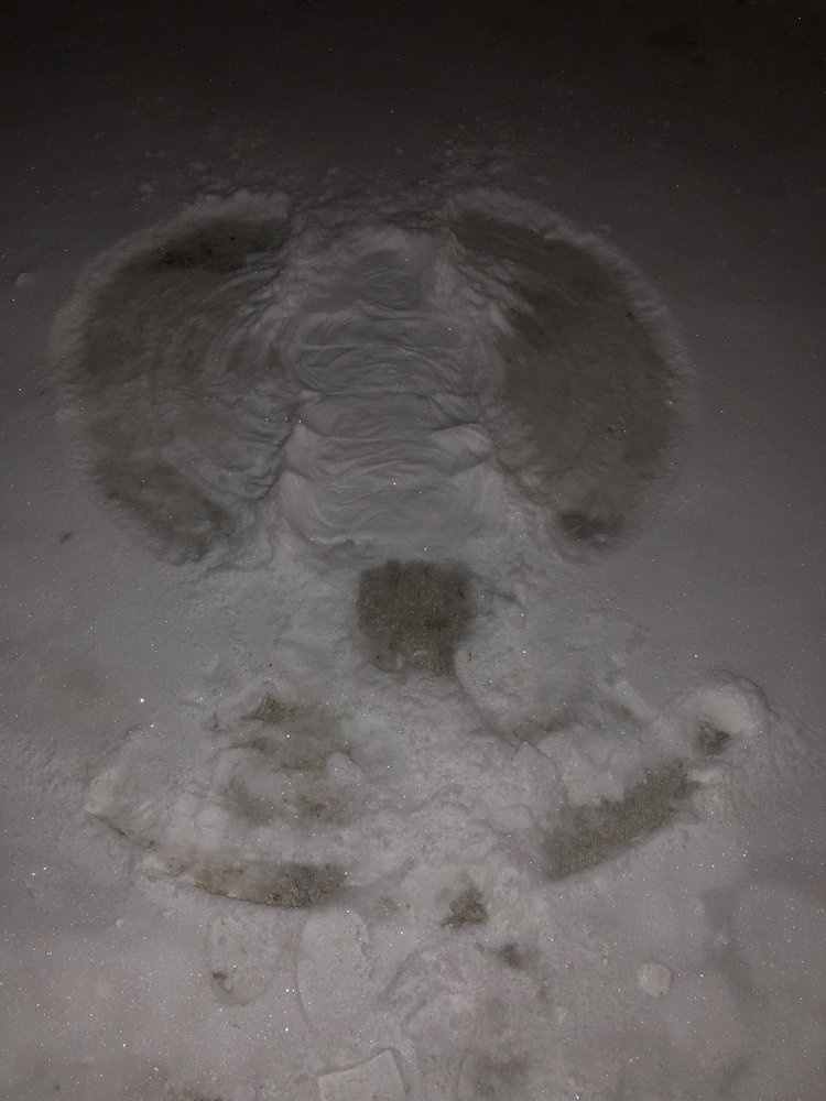 CAMERON INN Updated September 2024 131 W Main St, Canistota, South