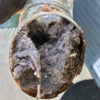 Dryer Tiger - Air Duct Cleaning Near Me Dryer Tiger - Air Duct Cleaning Near Me