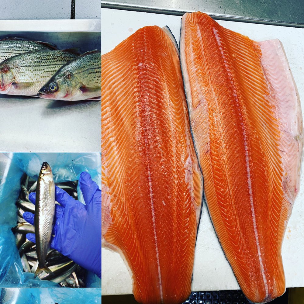 24/7 SEAFOOD DISTRIBUTOR 27 Photos 8181 NW 67th St, Miami, Florida