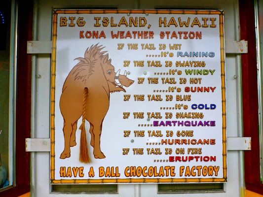 The Original Donkey Ball Store by null