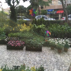 Aslı'nın Bahçesi