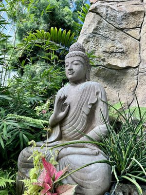 Buffalo and Erie County Botanical Gardens by null