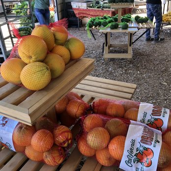 Washburn Ranch - Oranges - Specialty Food Near Me - Hemet, California Washburn Ranch - Oranges - Specialty Food Near Me - Hemet, California
