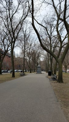Commonwealth Avenue Mall by null