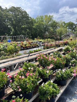 North Richland Hills Farmers Market by null