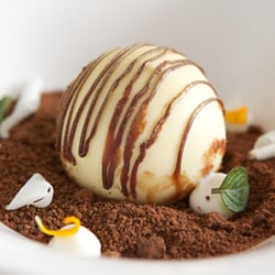 Brasserie 6