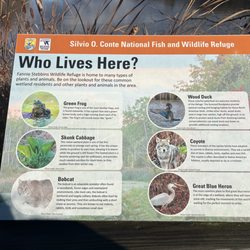 Silvio O Conte National Wildlife Refuge