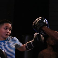 Celebrity Championship Boxing