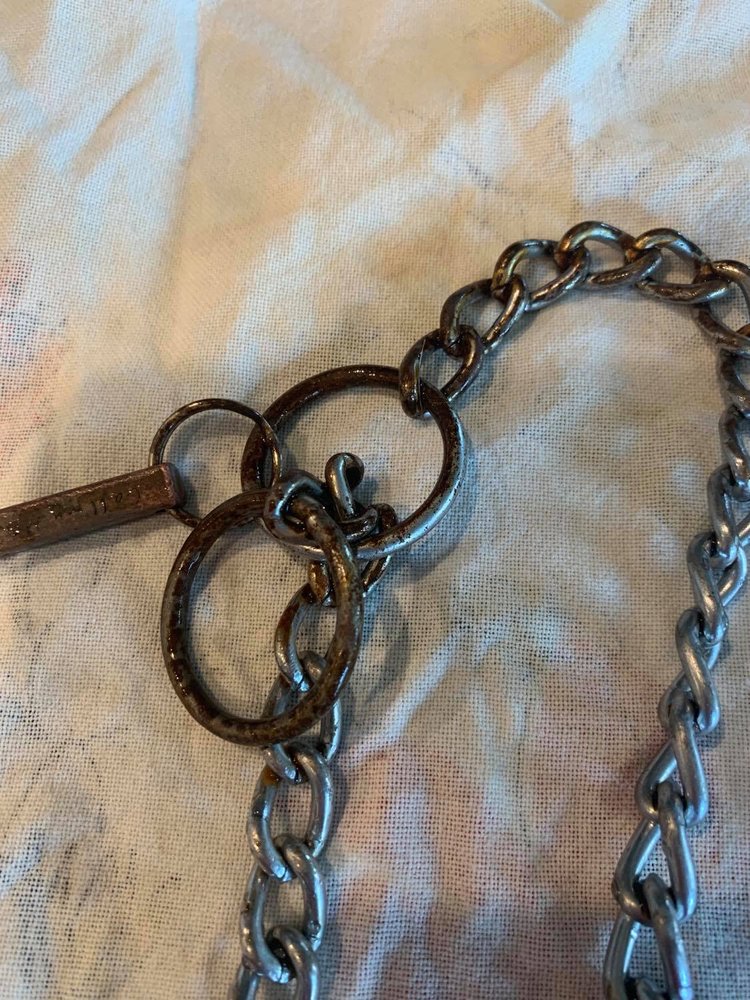 FORNEY PET SITTER Updated July 2024 28 Photos & 11 Reviews Magic