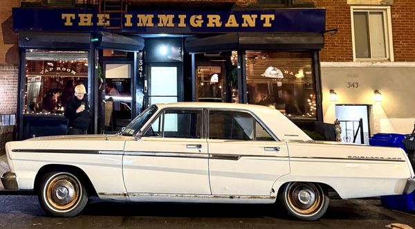 The Immigrant by null