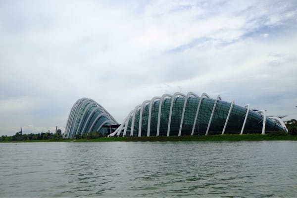 Singapore DUCKtours by null