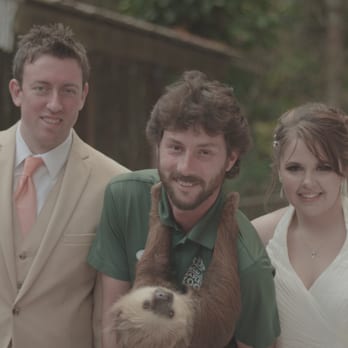 Naples Zoo - Animal encounter with the sloth at our Naples Zoo wedding. - Zoos Near Me - Naples, Florida