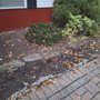 Lehan's Lawn and Landscaping