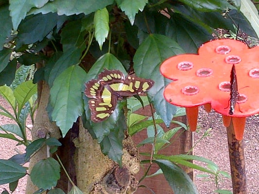 Naturospace Honfleur by null