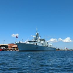 Harbour Hippo