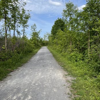 Lagoon Park - What the trails looked like. - Parks Near Me