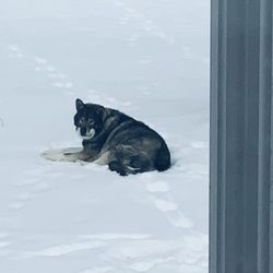 Lap of Love - Kratos loves the cold weather
