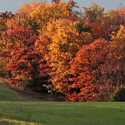 Wolf Mountain
