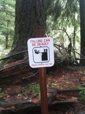 Twin Falls Trailhead by null