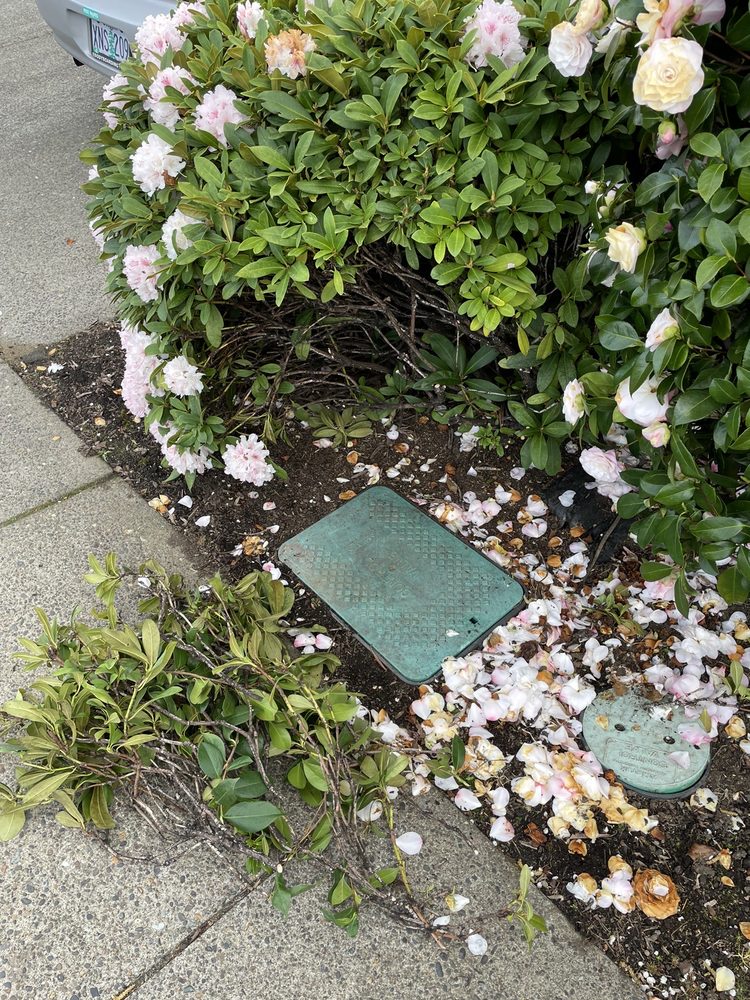 Slide of Northwest Backflow Inspection and Testing Services