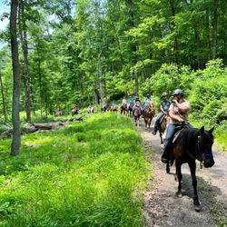 PELIA Equine - Horses Trail Rides