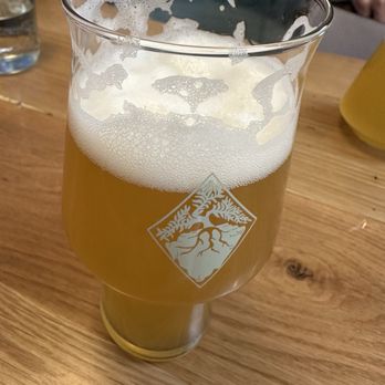 Monolith Brewing - IPA - Breweries Near Me - Denver, Colorado