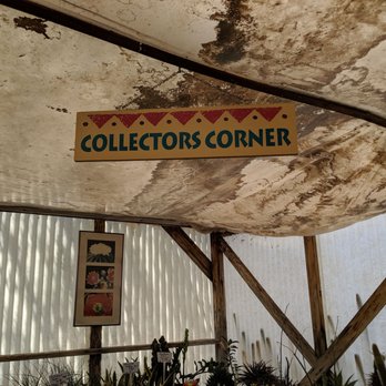 Bach's Cactus Nursery - Nurseries & Gardening Near Me - Tucson, Arizona