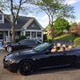 Photo of Naper Motors