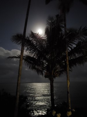 Hale Kai Hawaii Suites - Oceanfront Hilo Lodging by null