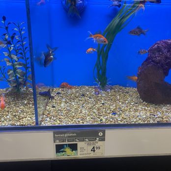 Petco - Pet Training Near Me - Granada Hills, California Petco - Pet Training Near Me - Granada Hills, California