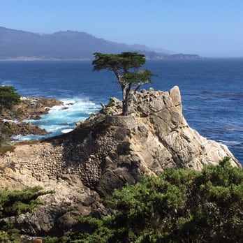 The Lone Cypress - Landmarks & Historical Buildings Near Me - Del Monte Forest, California